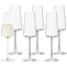 Stölzle Power Champagnerglas 0,24 l 6er Set