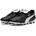 AG/FG Herren PUMA White/PUMA Silver/PUMA Gold 40