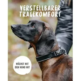 Rudelkönig Paola Hundehalsband Schwarz Größe 7