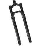 DT Swiss F 232 ONE 29" 100 mm
