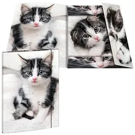 RNK RNK-Verlag Zeichenmappe A3 Katze, 1 St.