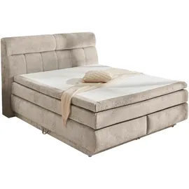 Jockenhöfer Boxspringbett "Queen, inklusive Strauraum/Bettkasten", beige (beige, grau 460, 29), B:195cm L:230cm, Bezug Bett: Chenille (100% Polyester);Topper und Matratzenspiegel: 100% Polyester, Komplettbetten, Boxspringbett, 7-Zonen-TTFK-Matratze, KS-Topper,