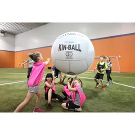 Omnikin Kin Ball Official Grau