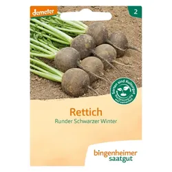 Bingenheimer Saatgut Rettich Runder Schwarzer Winter