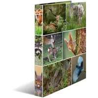 Herma Ringbuch A4 Karton 4 Ringe, Waldtiere,