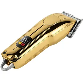 Avizar USB-C Haarschneider 2000mAh Gold