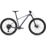 Giant Fathom 1 Grau Modell 2024