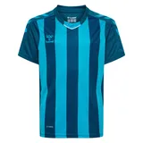 hummel hmlCORE XK Striped Jersey S/S Kids, blue coral/blue danube 164