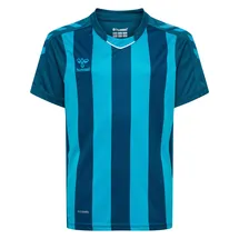 hummel hmlCORE XK Striped Jersey S/S Kids, blue coral/blue danube 164
