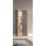 INOSIGN Vitrine INOSIGN "Aosta, Höhe 159 cm, in verschiedenen Farbausführungen", grau (wotan eiche, grau), B:60cm H:159cm T:35cm, Schränke, Vitrine, 1 Tür, 3 Einlegeböden, 4 Fächer, Wohnzimmer, Standvitrine, Glasvitrine