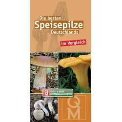 Die besten Speisepilze Deutschlands im Vergleich