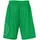 Kempa Reversible Basketballshorts Herren grün/weiß XL