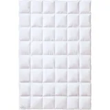 Kauffmann Bavaria 155x220 cm warm