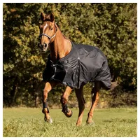 Waldhausen Scandic 300g