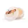 Dermoscent Bio Balm Hundepfotenbalsam 50 ml