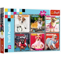 Trefl Puzzle Trefl 13279 Happy Dogs 200 Teile Puzzle, Puzzleteile, Made in Europe bunt