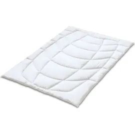 Kauffmann Wildseide Sommer-Bettdecke -200x200cm