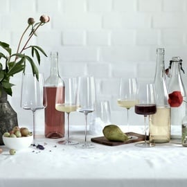 Schott Zwiesel Zwiesel Glas Simplify Weißweingläser 2er Set Gläser 2 ct