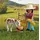 Playmobil Horses of Waterfall DuoPack Reiterin mit Fohlen 72026