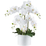 Kunstpflanze Phalaenopsis im Keramiktopf, ca. 60 cm, weiß