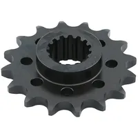 RK Antriebsritzel 5524-2Q