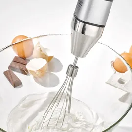 CASO Design HB 1000 Stabmixer