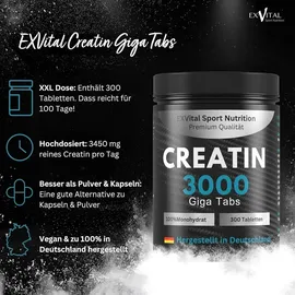 Exvital Creatin Monohydrat 3000 Tabletten 345 g