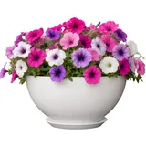 classic home & garden Vogue Pflanzgefäß Rosie 25,4 x 25,4 x 10 cm Weiß