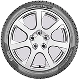 Sava Eskimo HP2 225/50 R17 98V