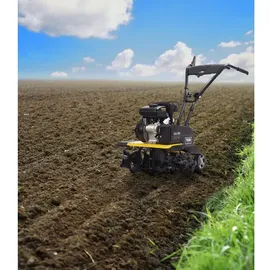 TEXAS Benzin-Motorhacke Lilli 365TG