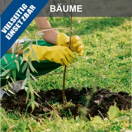 SCHEPPACH Benzin Erdbohrer EB2000