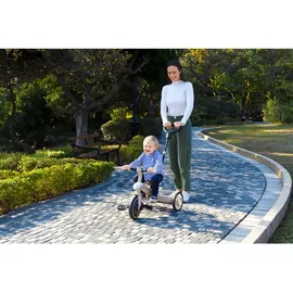 GLOBBER Explorer Trike 4in1 ECO beere