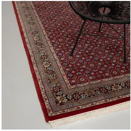 rug n' roll Orientteppich Indo Herati, klassisch, strapazierfähig, pflegeleicht, Rechteckig, handgeknüpft rot 40 cm x 60 cm