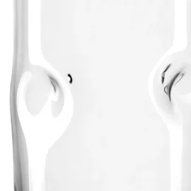 LEONARDO VESUVIO 1 l Transparent