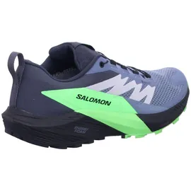 Salomon Sense Ride Herren Flint Stone/Black/Green Gecko 42