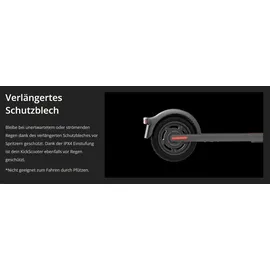 Segway Ninebot E45D E-Scooter (9 Zoll, Grau)