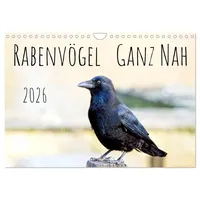 Calvendo Rabenvögel - ganz nah (Wandkalender 2026 DIN A4
