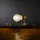 Ingo Maurer I Ricchi Poveri - Monument for a Bulb