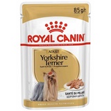 Royal Canin Yorkshire Terrier Adult 12 x 85 g