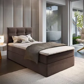 masseno GLOS 90 x 200 cm Braun