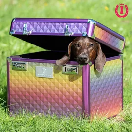 Imperial Riding Pferdeputzzeug