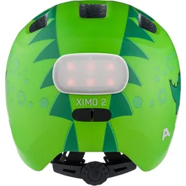 Alpina Ximo 2 Flash 49-54 cm green dino matt