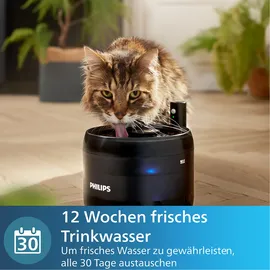 Philips Pet Series Filter weiß 3 St.