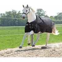 Kavalkade Kavalkade, Pferdedecke, (125 cm)