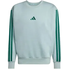 adidas Sweatshirt Wonder Sage/Collegiate Green XL
