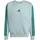adidas Sweatshirt Wonder Sage/Collegiate Green XL