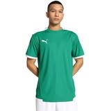 Puma Teamliga Jersey Shirt, Pepper Green-puma White, M