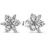 Pandora Ohrstecker Timeless 292633C01