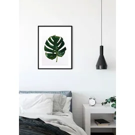 KOMAR Wandbild Monstera Leaf 30 x 40 cm