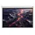 Celexon Batterie Leinwand V2.0 Motor Professional Plus 180 x 135 cm
